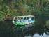Crocodile Express -