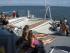 Passions Of Paradise -