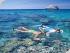 Get High Up Top & Dive Down Under - 