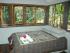 Daintree Magic -