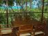 Daintree Magic -