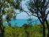 Daintree Magic -