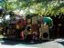 Daydream Island Resort - 