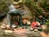 Nature & Nurture Package - 