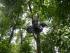 Jungle Canopy Surfing -