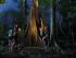 Jungle Adventures Nightwalk -