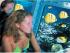 Great Outdoors Package - 