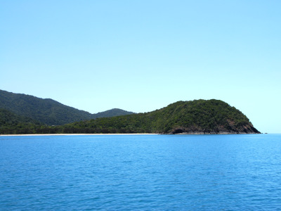 Cape Tribulation Sanctuary - 
