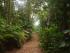 Cape Tribulation Sanctuary -