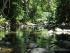 Cape Tribulation Sanctuary -