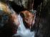 Cape Tribulation Sanctuary -