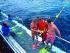 Quicksilver -