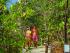 Wavedancer Low Isles - 