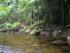 Daintree Cascades Cottage -