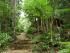 Daintree Cascades Cottage -