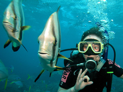 Upolu Reef & Oyster Reef - 