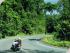 Cairns Motorcycle Tours - 