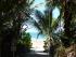 Sheraton Mirage Resort -