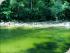 Cairns Motorcycle Tours - 