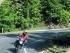 Cairns Motorcycle Tours - 