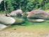 4 Day Package - Option 1 - 