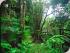4 Day Package - Option 1 - 