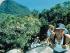 Fitzroy Island Sea Kayak Tour - 