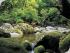 4 Day Package - Option 1 - 