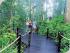 4 Day Package - Option 1 - 
