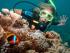 4 Day Package - Option 1 - 