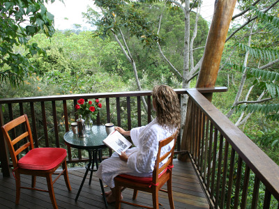 Rose Gums Retreat - 