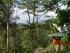 Rose Gums Retreat -