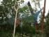 Rose Gums Retreat -