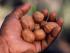 3 Day Bama Way Discovery - 