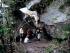Rainbow Serpent Tour - 