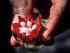 Rainbow Serpent Tour -