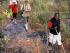 Cooktown Wanderer - 