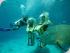 Scuba Doo - 