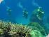 Scuba Doo - 