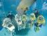 Scuba Doo - 