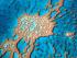 Reef & Whitehaven Beach -