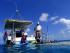 Reef & Whitehaven Beach -