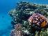 Reef & Whitehaven Beach -