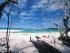 Reef & Whitehaven Beach -