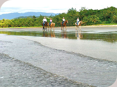 Wonga Beach Horse Rides - New Image