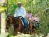 Wonga Beach Horse Rides - New Image