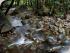 Daintree Cascades Roundhouse - Fed Creek