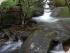 Daintree Cascades Roundhouse - Fed Creek Daintree