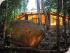 Daintree Cascades Roundhouse - Daintree Roundhouse