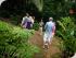 Daintree Walkabout -